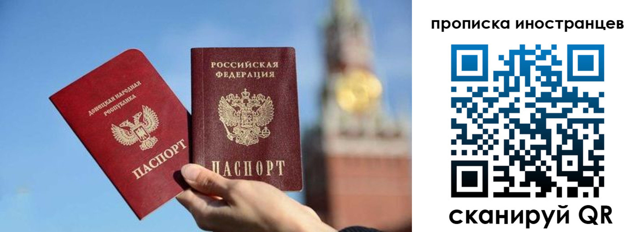 прописка штамп в Борзе